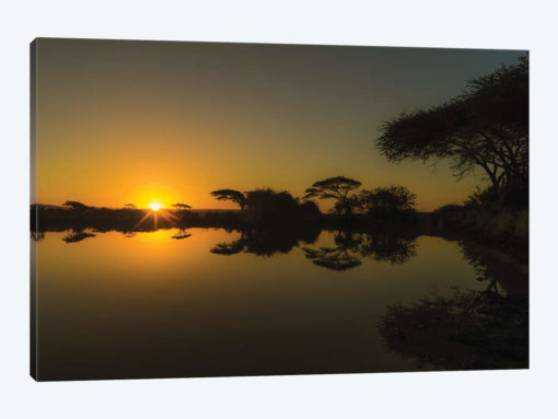 Sunset Reflections