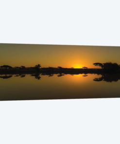 The African Sunset