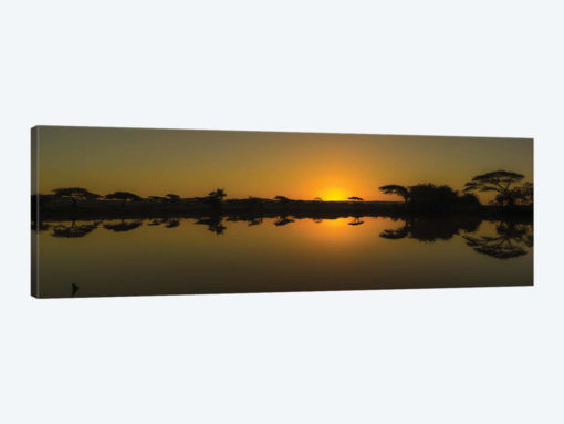 The African Sunset