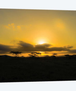The Sunset