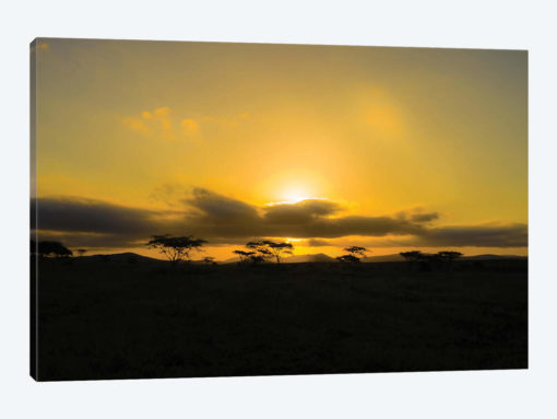 The Sunset