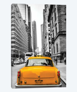 Checker In New York