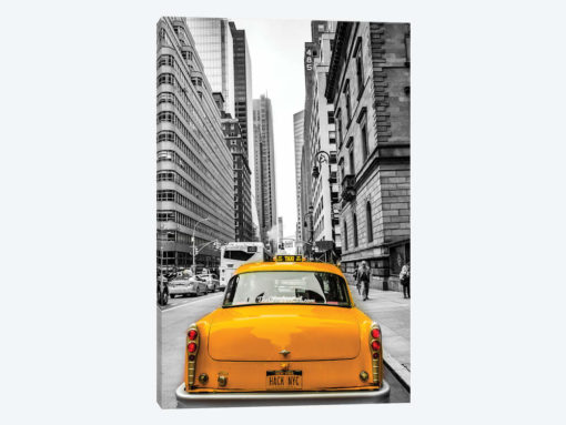 Checker In New York