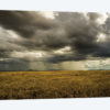 Rain In Serengeti