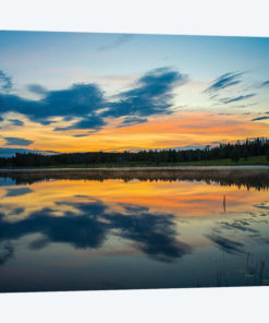 Summer In Sweden