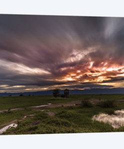 Tarangire, Tanzania