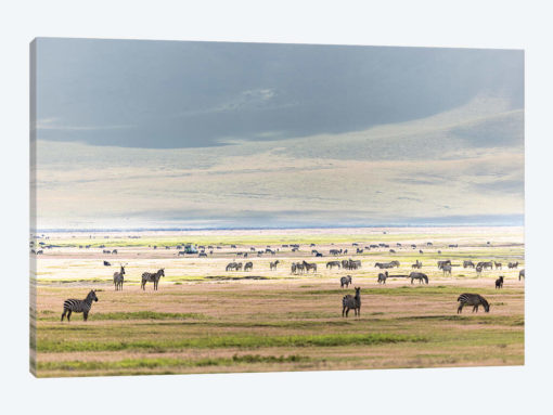 Ngorogoro
