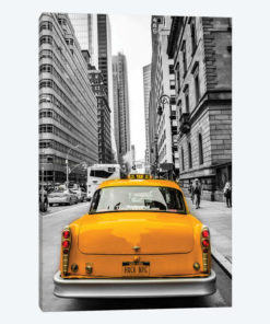 Checker In NYC