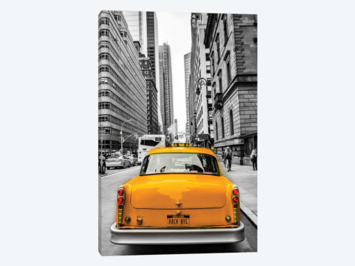 Checker In NYC