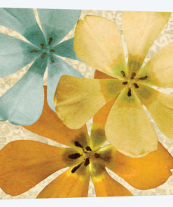 Springtime Glow I