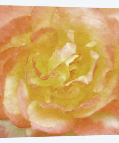 Wall Flower I