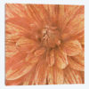 Wall Flower IX