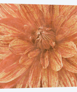 Wall Flower IX