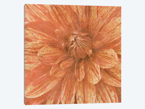 Wall Flower IX