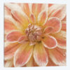 Wall Flower V