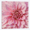 Wall Flower VII