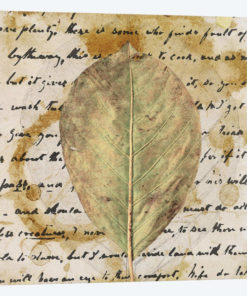 Earth Leaf II