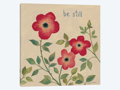 Be Still Roses