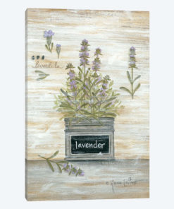 Lavender Botanical