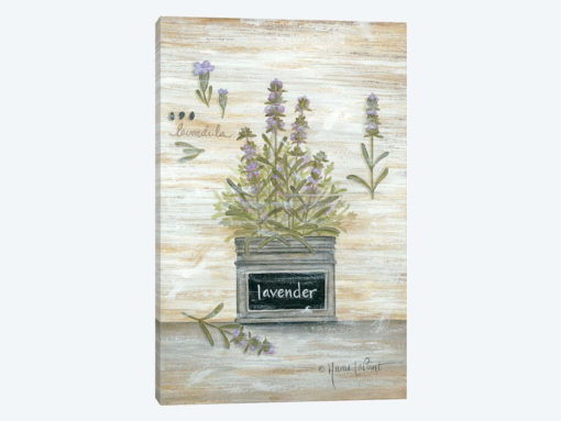 Lavender Botanical