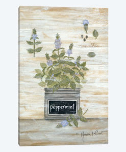 Peppermint Botanical