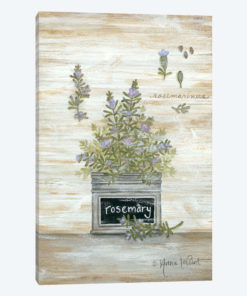 Rosemary Botanical