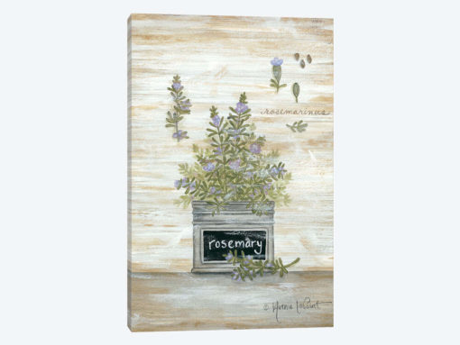 Rosemary Botanical