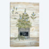 Sage Botanical