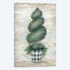 Gingham Topiary Spiral