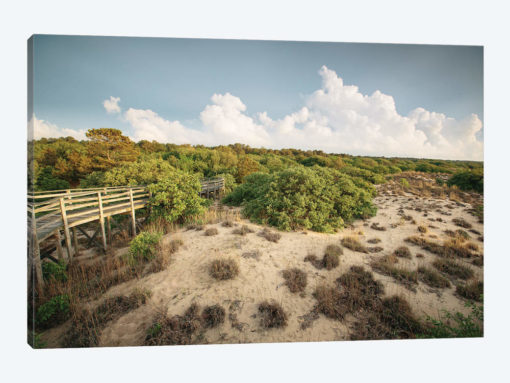 First Landing Dunes I