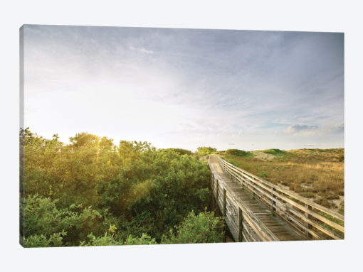 First Landing Dunes II