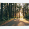 Pacific Northwest Oregon III