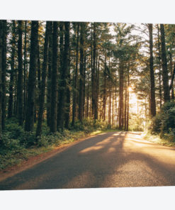 Pacific Northwest Oregon III