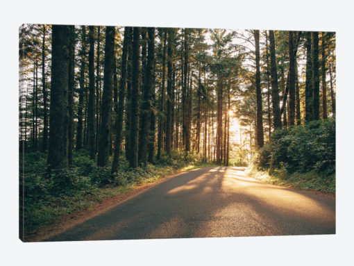 Pacific Northwest Oregon III