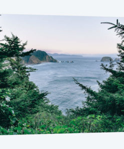 Pacific Northwest Oregon IV