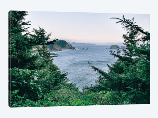 Pacific Northwest Oregon IV