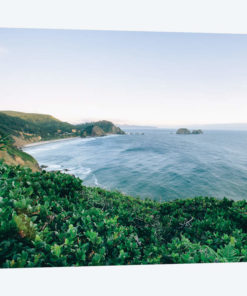 Pacific Northwest Oregon V
