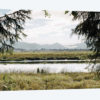 Pacific Northwest Oregon X
