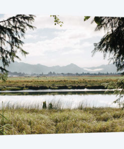Pacific Northwest Oregon X