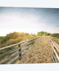First Landing Dunes III