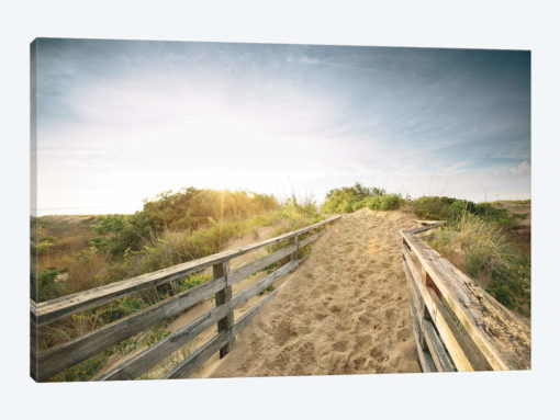 First Landing Dunes III