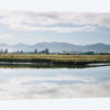 Pacific Northwest Oregon XI