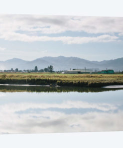 Pacific Northwest Oregon XI