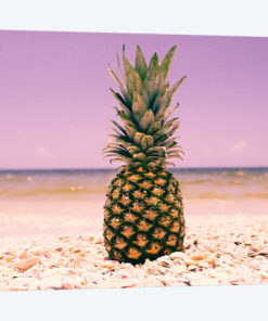 South Florida Pineapple I