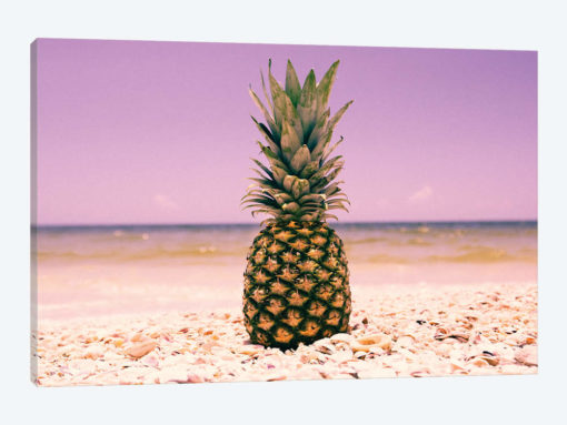 South Florida Pineapple I