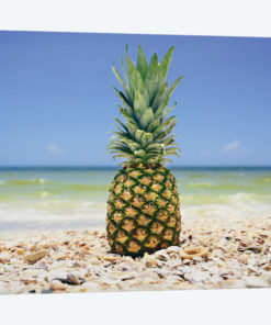South Florida Pineapple II