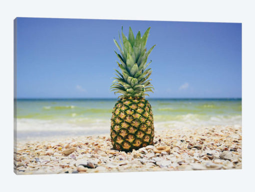 South Florida Pineapple II