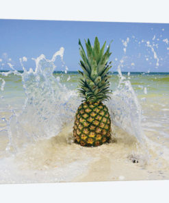 South Florida Pineapple III