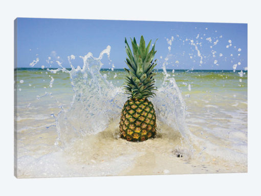 South Florida Pineapple III