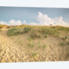 First Landing Dunes IV